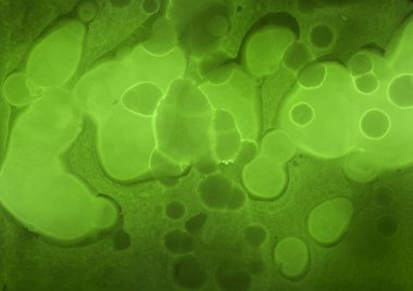 canlı yeşil mürekkep, dijital duvar kağıdı