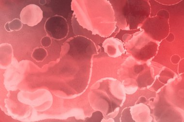 kırmızı sıvı mürekkep, dijital duvar kağıdı