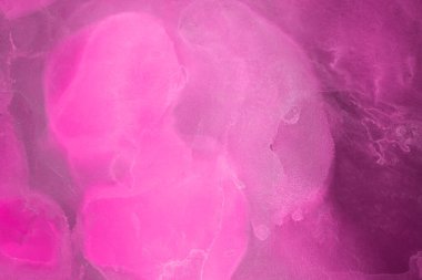 pembe sıvı mürekkep, dijital duvar kağıdı