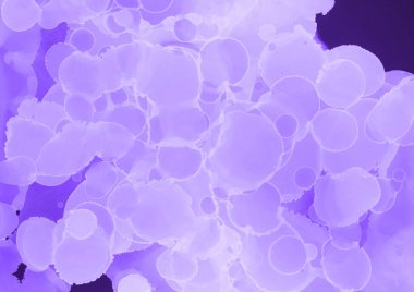 mor sıvı mürekkep, dijital duvar kağıdı