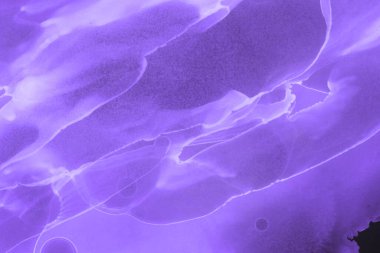 mor sıvı mürekkep, dijital duvar kağıdı