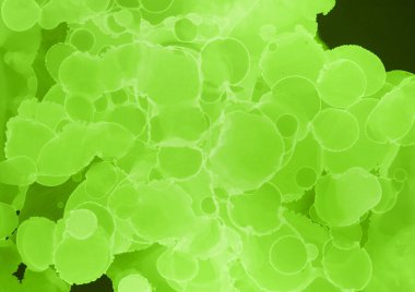 canlı yeşil mürekkep, dijital duvar kağıdı