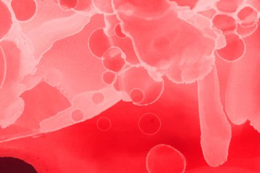 kırmızı sıvı mürekkep, dijital duvar kağıdı