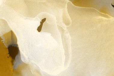 sarı sıvı mürekkep, dijital duvar kağıdı