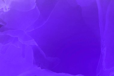 mor sıvı mürekkep, dijital duvar kağıdı