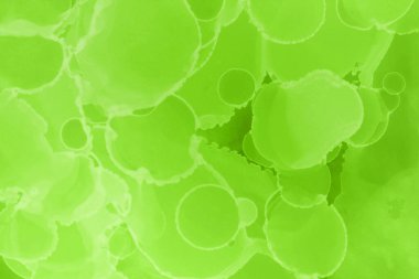 canlı yeşil mürekkep, dijital duvar kağıdı