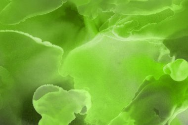 canlı yeşil mürekkep, dijital duvar kağıdı