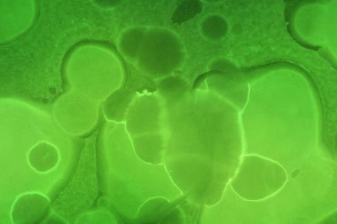 canlı sıvı mürekkep, dijital duvar kağıdı