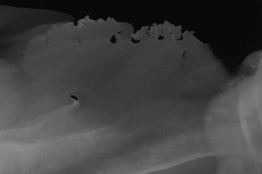 siyah sıvı mürekkep, dijital duvar kağıdı