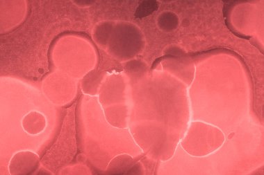 kırmızı sıvı mürekkep, dijital duvar kağıdı