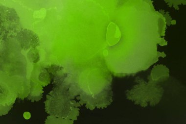 canlı yeşil mürekkep, dijital duvar kağıdı