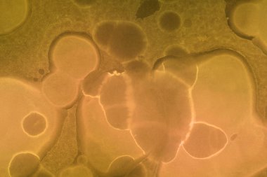 canlı sıvı mürekkep, dijital duvar kağıdı