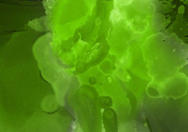 canlı yeşil mürekkep, dijital duvar kağıdı