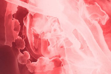 kırmızı sıvı mürekkep, dijital duvar kağıdı