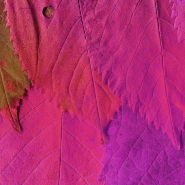 Pembe yaprak dokusu, soyut duvar kağıdı