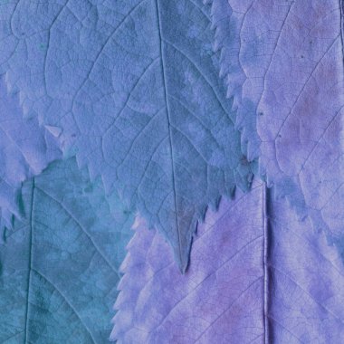 mor yaprak dokusu, soyut duvar kağıdı