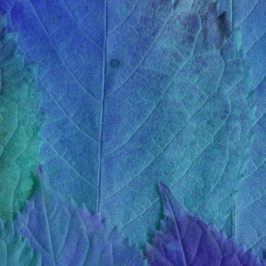 mavi yaprak dokusu, soyut duvar kağıdı