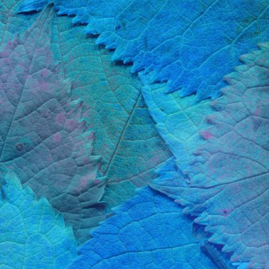 mavi yaprak dokusu, soyut duvar kağıdı