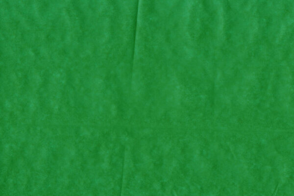 abstract grunge green paper texture with details 
