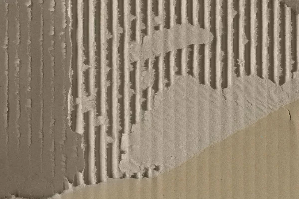 Abstrakt Grunge Papp Struktur Med Detaljer — Stockfoto