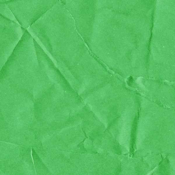 abstract grunge green paper texture with details