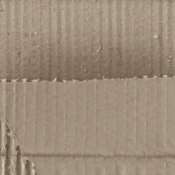 Texture Abstraite Carton Grunge Avec Des Détails — Photo
