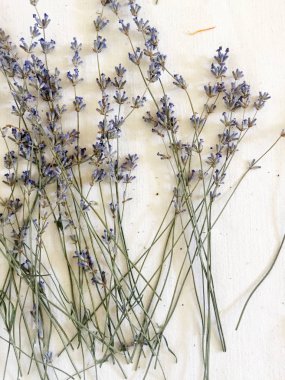 Kuru otlar ile arka plan. Lavanta.