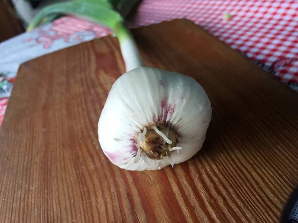 Garlic Wood Desk Kitchen — Stock Photo, Image