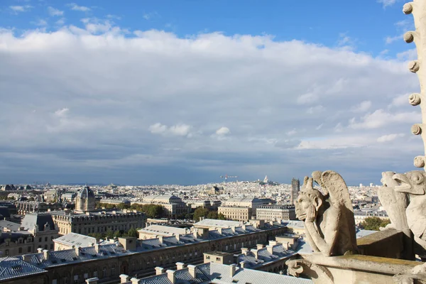 Notre Dame Paris France Gargoyles — Stock Photo, Image