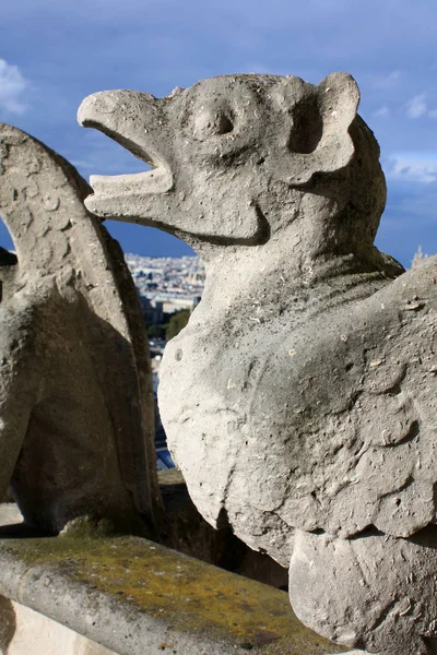 Notre Dame Paris France Gargoyles — Stok fotoğraf