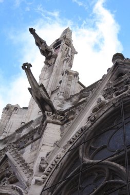 Notre Dame Paris Fransa gargoyles ile