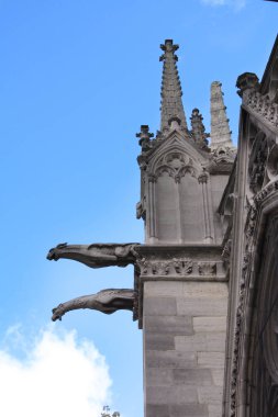 Notre Dame Paris Fransa gargoyles ile