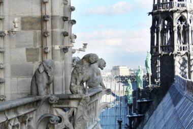 Notre Dame Paris France gargoyles