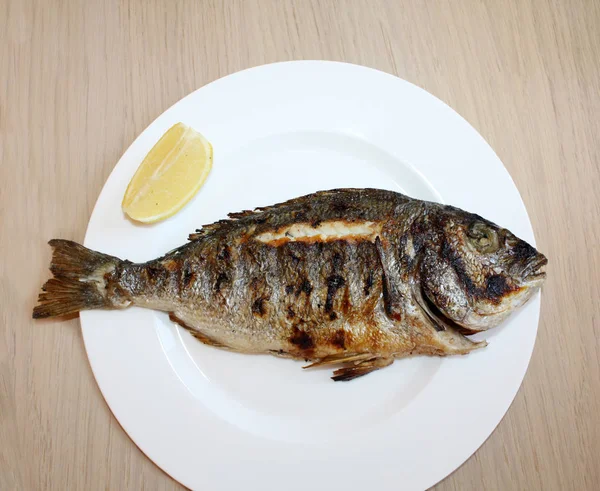 Рыба Дорада Гриле Белой Тарелке — стоковое фото