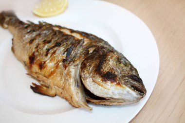 Beyaz tabakta Dorada balık ızgara