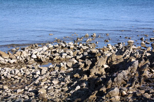 Adriyatik Denizi Wild Coast — Stok fotoğraf