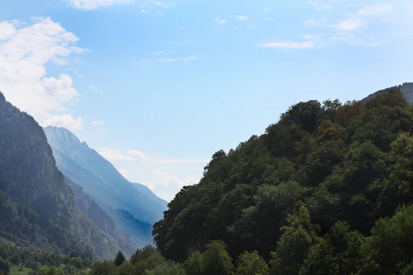 アルプス山脈でスイスの森 晴れた日 — ストック写真
