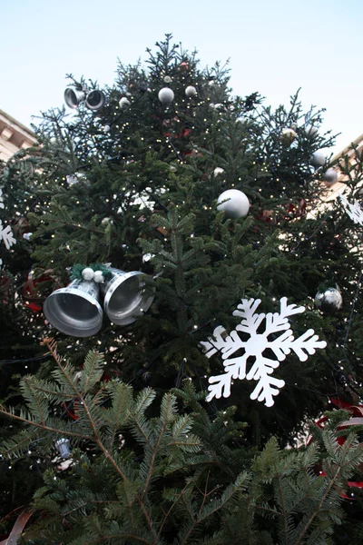 Χριστουγεννιάτικο Δέντρο Στο Ζαντάρ Κροατία — Φωτογραφία Αρχείου