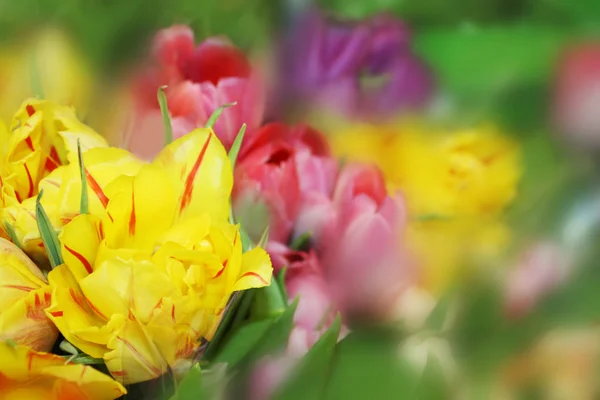 Весенний Фон Букетов Разноцветных Тюльпанов — стоковое фото