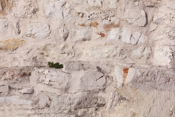 圣多纳特教堂的墙 扎达尔克罗地亚 背景纹理墙 — 图库照片