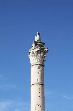Ayağı utanç Zadar Hırvatistan. 