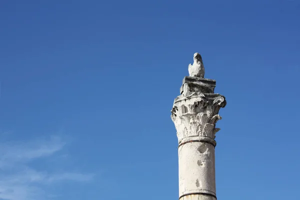 Pijler Van Schaamte Zadar Kroatië — Stockfoto