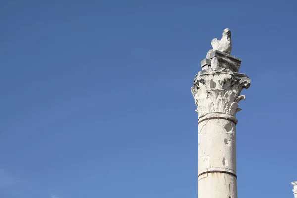 Pilastro Della Vergogna Zara Croazia — Foto Stock