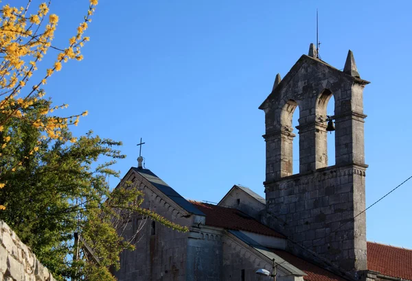 종탑이 교회와 포르시티아 — 스톡 사진