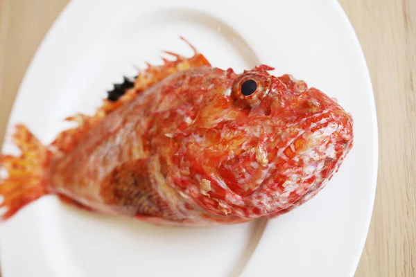 Red Sea Bass White Plate — Stock Photo, Image