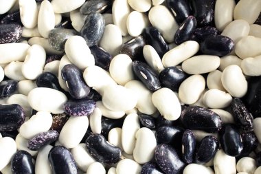 Beens doku. Siyah beyaz beens tohumları arka plan.