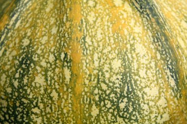 Sonbaharda kabak makro dokulu arka plan.