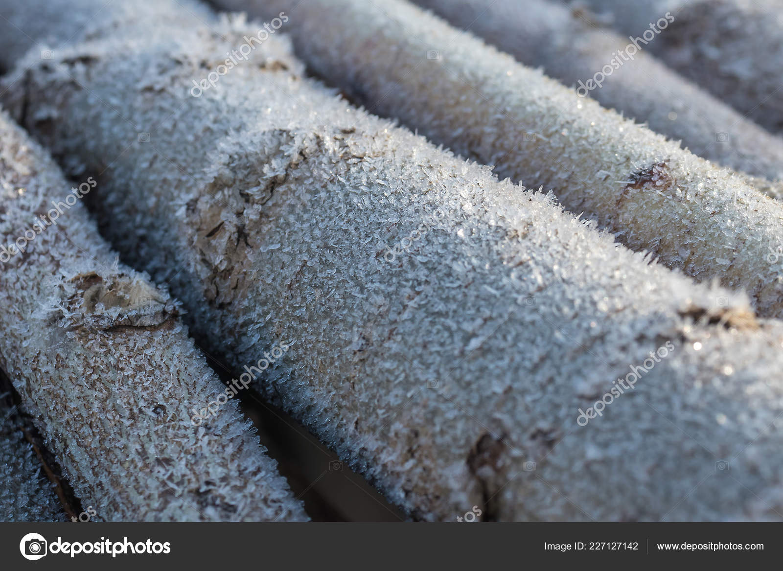 First Frost Ice Crystals Trees Macro Shot Snowflakes Stock Photo Image By C Dmitry Goncharov Mail Ru