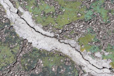Yeşil renk çatlaklarında beton arka plan