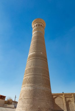 Minaret Kalyan, Bukhara, Özbekistan